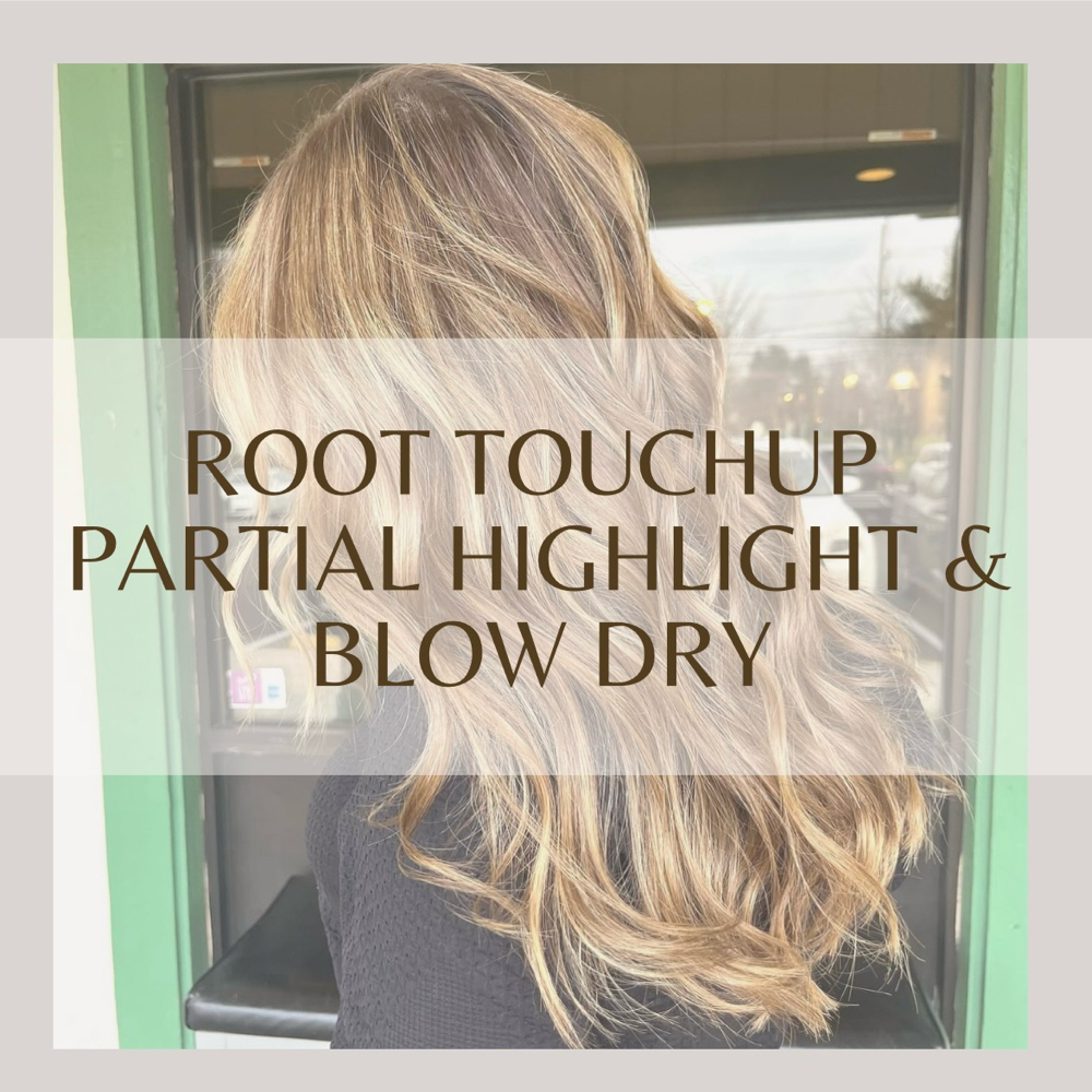 Touchup Partial Blowdry (Level 2)