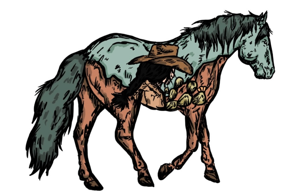 Equine Dental Float at Walking K Equine Dental Services in Franklin, TX