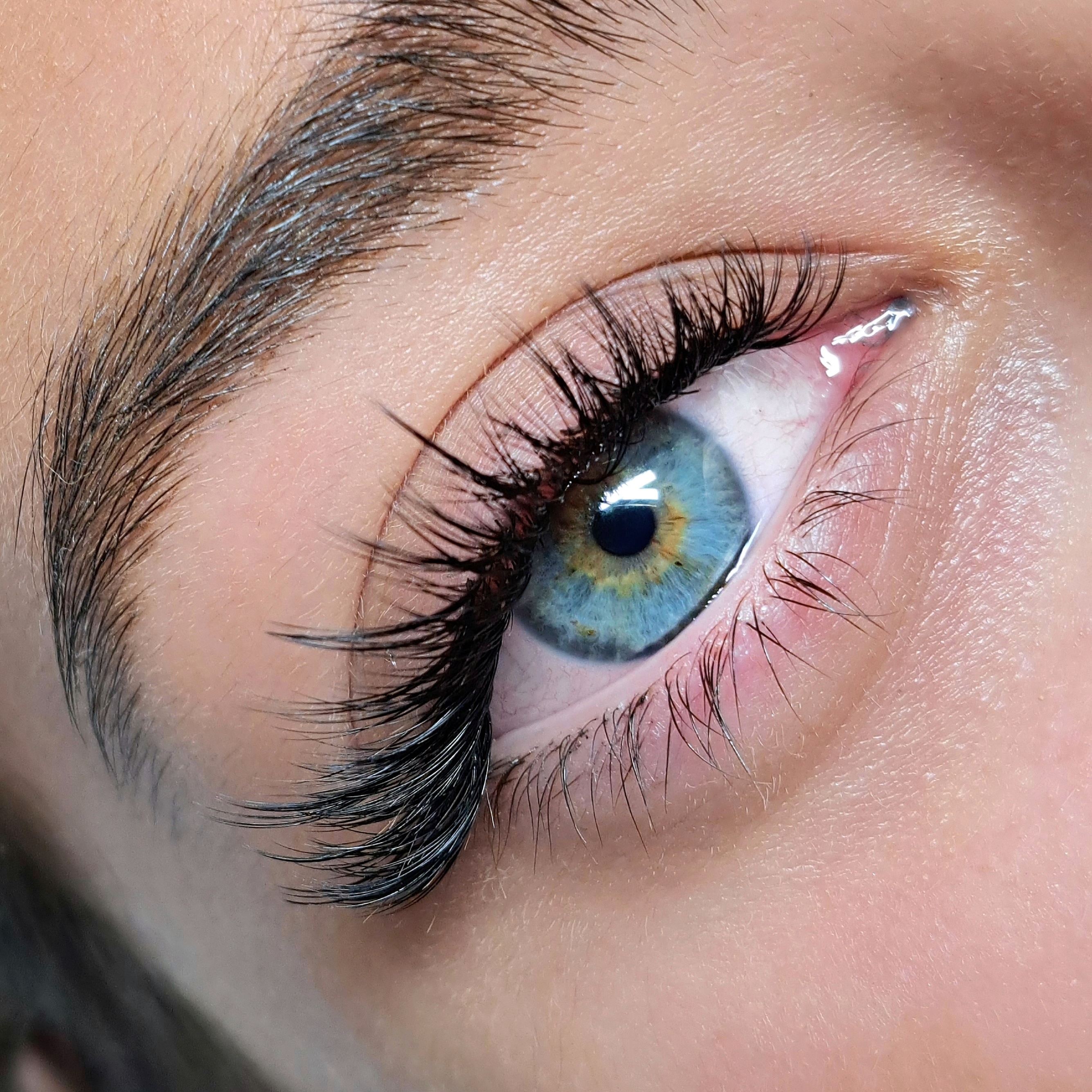 Lash and brow tint combo at valerie carroll Aesthetics in Naples, FL