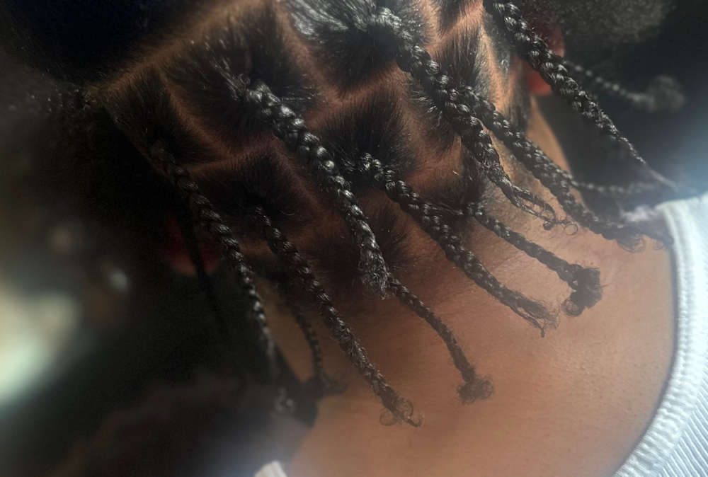 single braids/twist