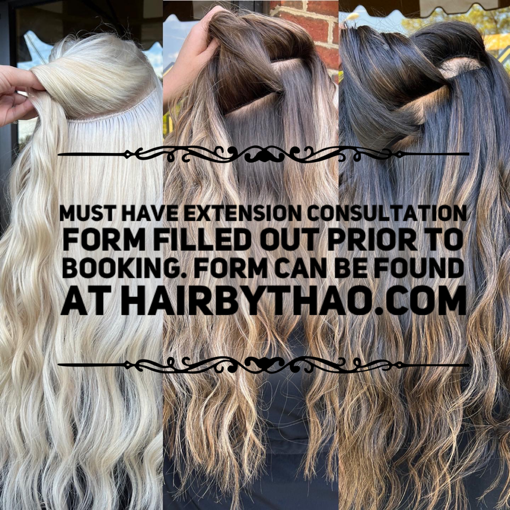 Hair Extension Consultation