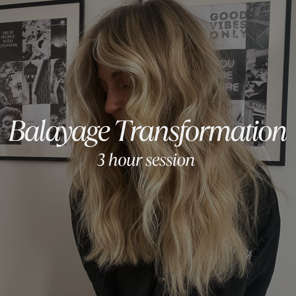 Balayage Transformation Session