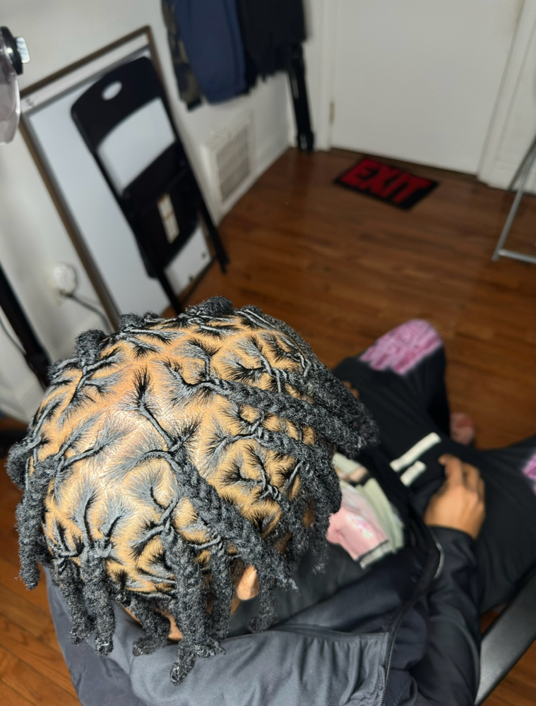 Plaits