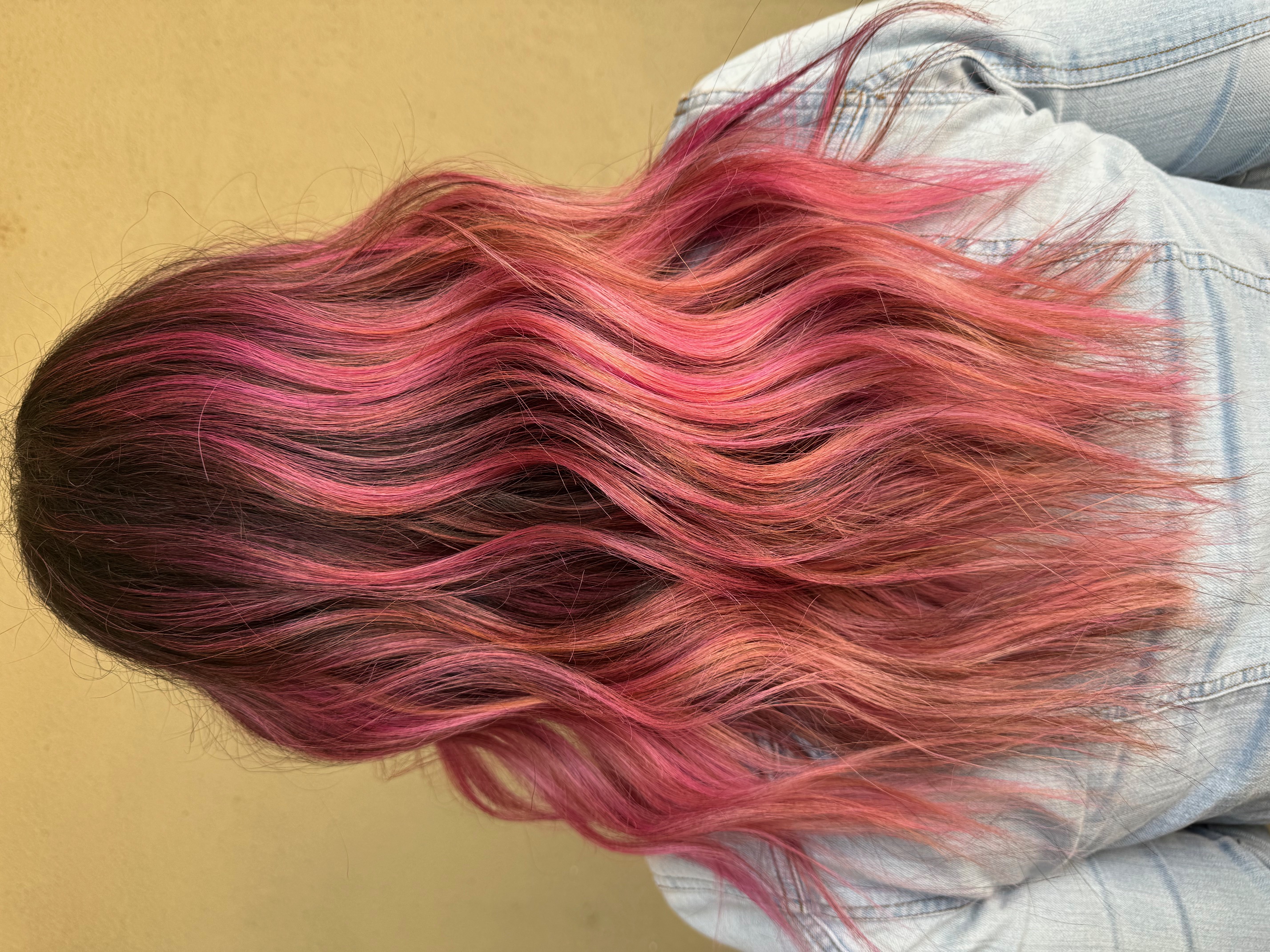 Vivid Color Touch-Up & Haircut