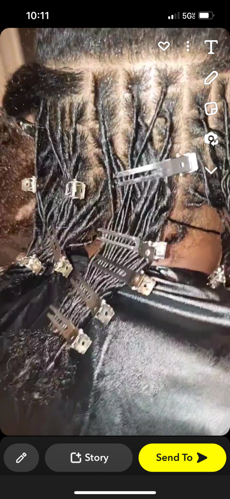 Starter Locs Small