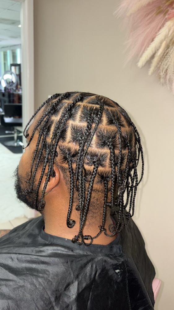 Large Individual Twist/Braids at Crowned Beauty Studios LLC in Detroit, MI
