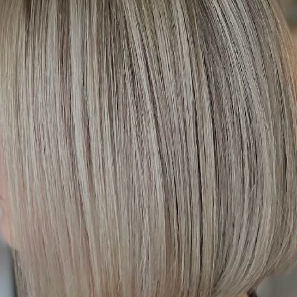 Full Classic Highlights at Salon Dahlia in Brandon, FL