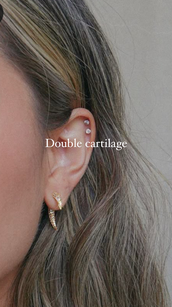 Double Cartilage