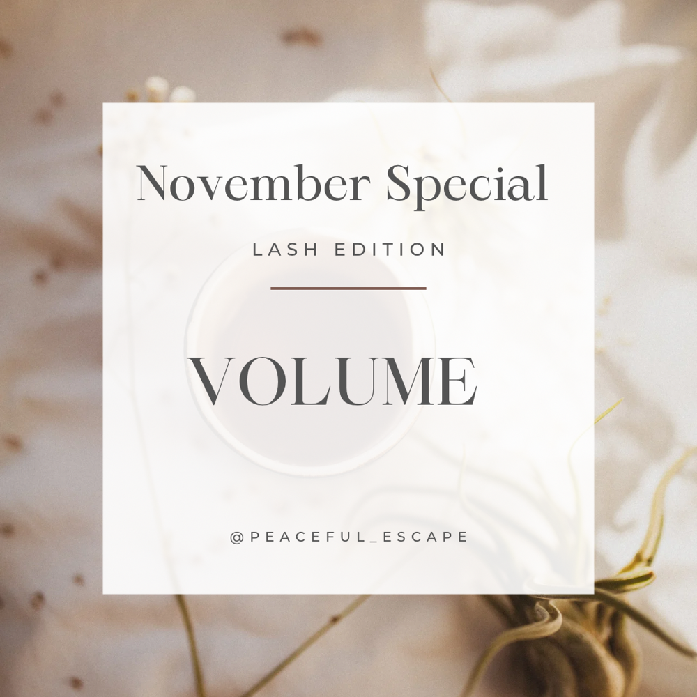 Nov Lash Special