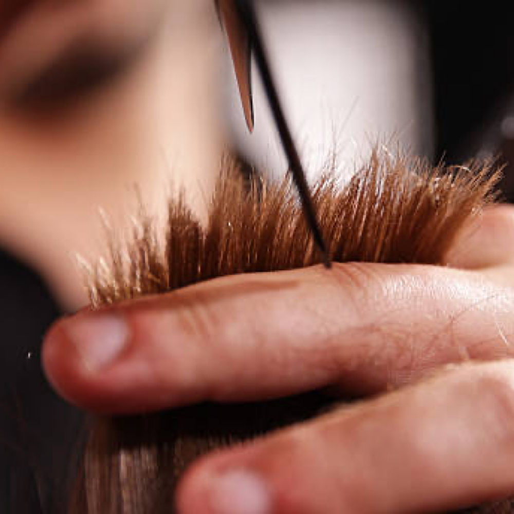 Dry Haircut at The Crown Room Head Spa & Hair Studio in Salem, OR