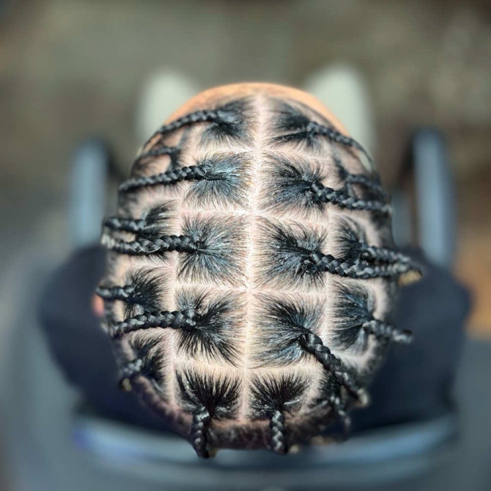 Crown Only 11-20 Plats / Braids at LASHDAE of Roots To Royalty Studio in Phoenix, AZ