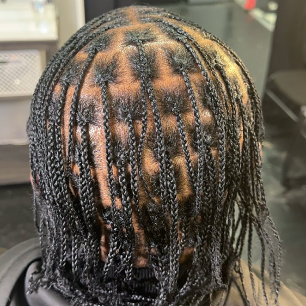 Small Box Braids at Crowned by Steph in Stroudsburg, PA