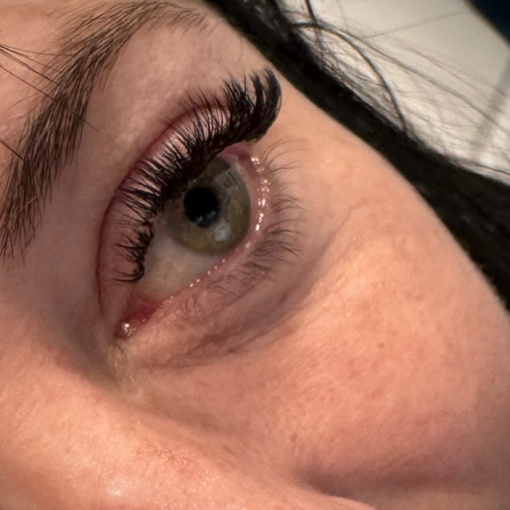 Volume Fill at Bibbidi Bobbidi Brows in Louisville, KY
