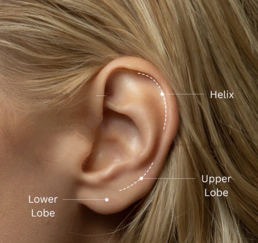 Helix/Upper lobe (Piercing needle)