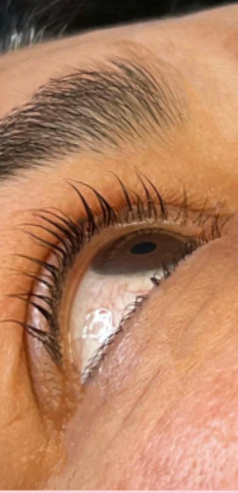 Lash Lift (no Tint)