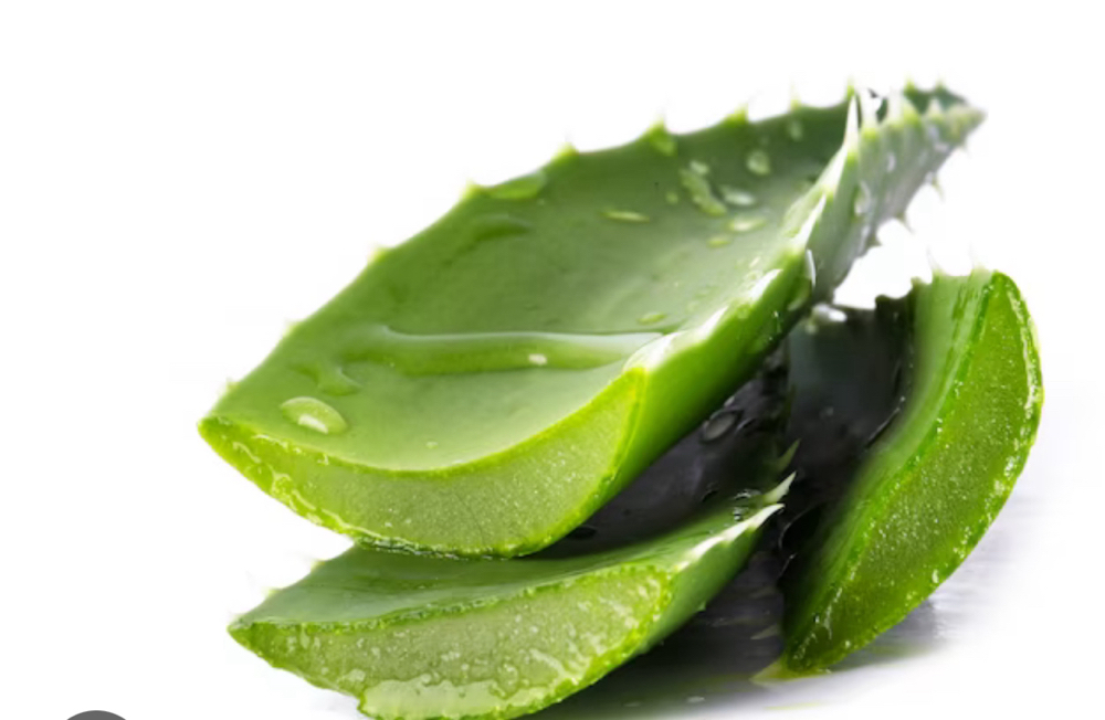 Aloe Vera Treatment