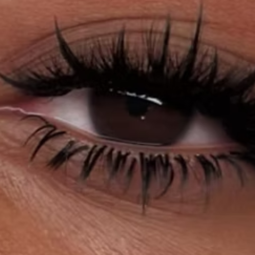 Eyelash Fill Services