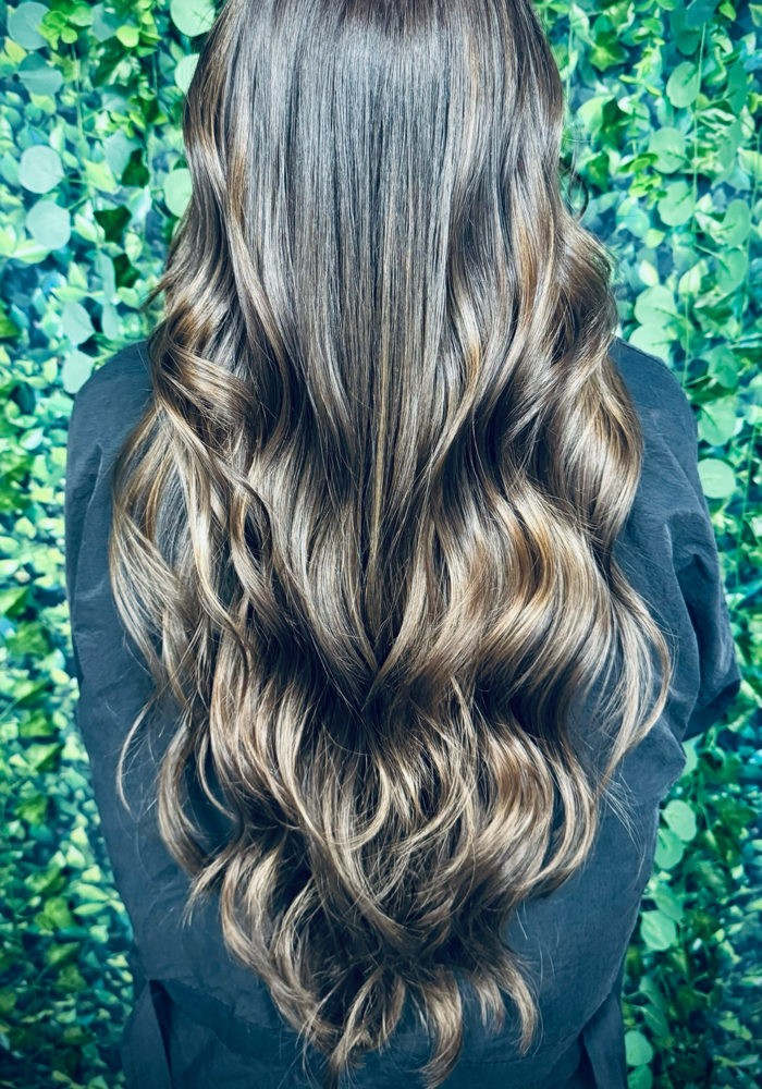 Partial Balayage & Blowout