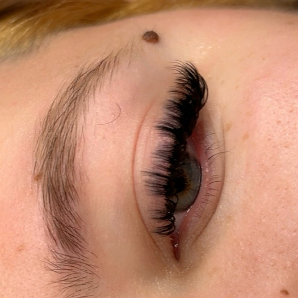 Volume Fill at Madly Mauve in indianapolis, IN