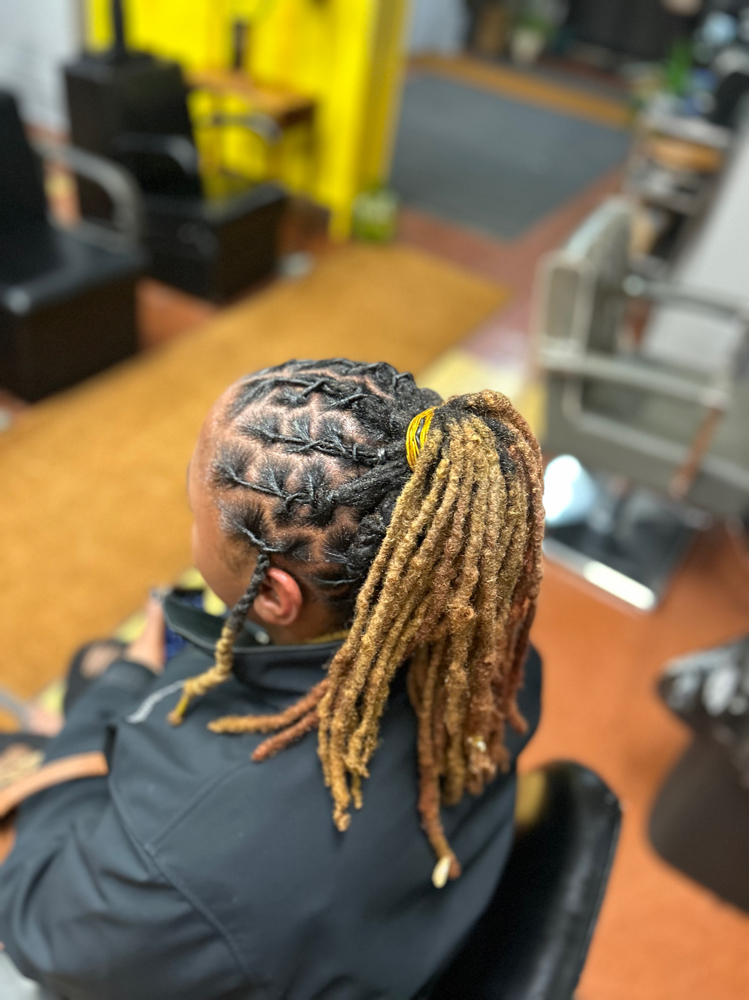 Barreltwist Ponytail