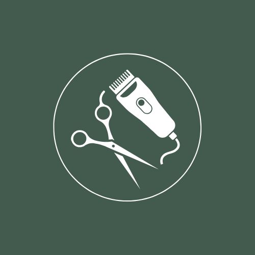 Mens Haircut