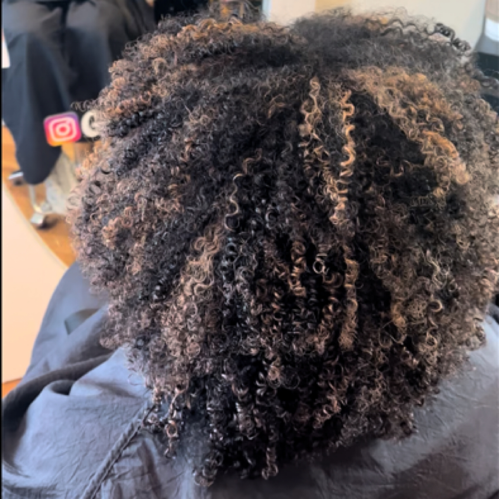 Curated Curly Cut at The Beaute Haus in Charlotte, NC
