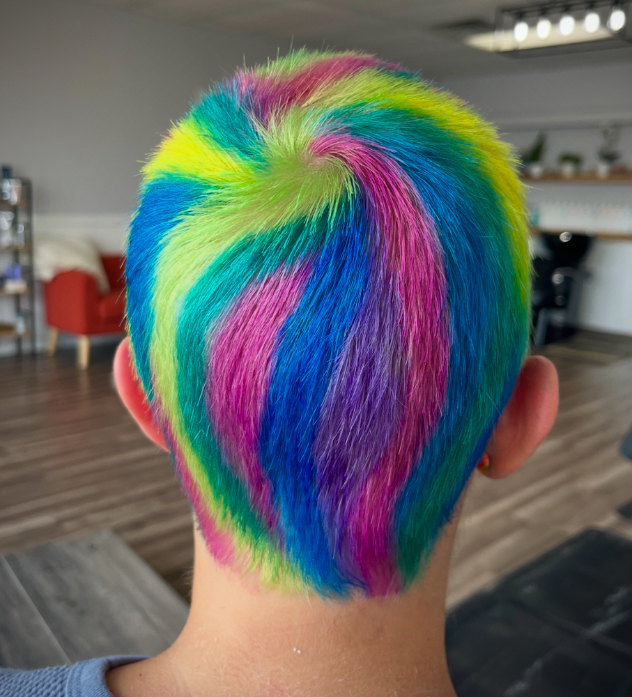 ART HOUSE COLOR (vivid color) at Hair By Madalin in Jenison, MI