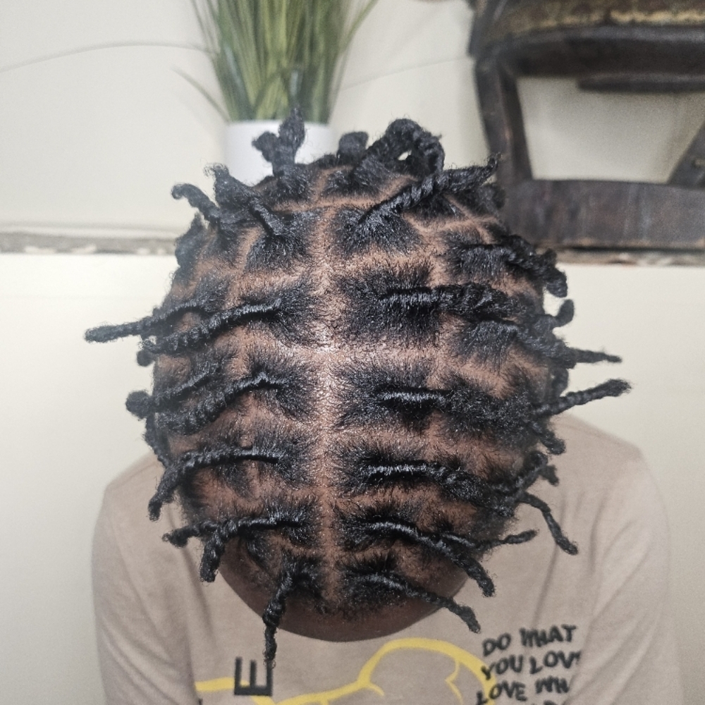 Starter Locs at PurdySweet Stylez in Brooklyn, NY
