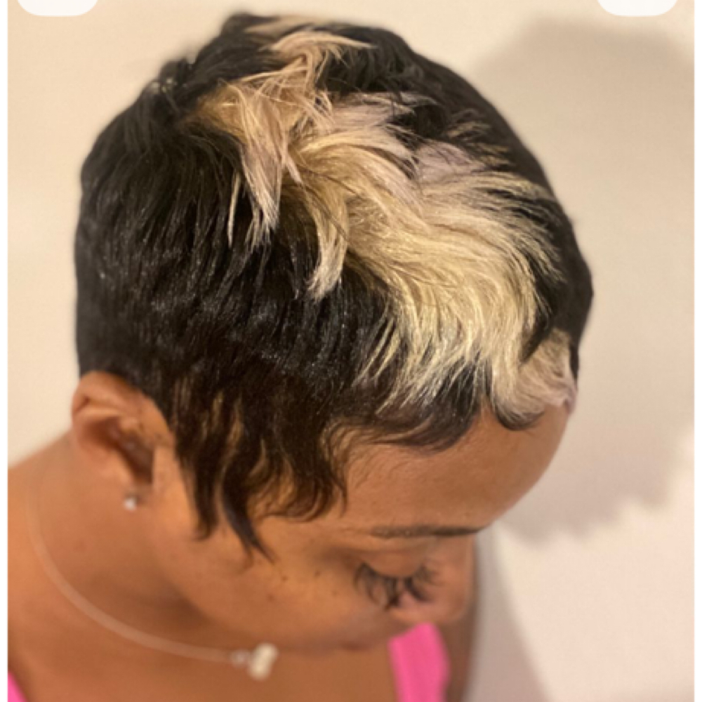 Platinum Skunk Strip-color Only at K’Lynn’s Hair Studio in East Hanover, NJ