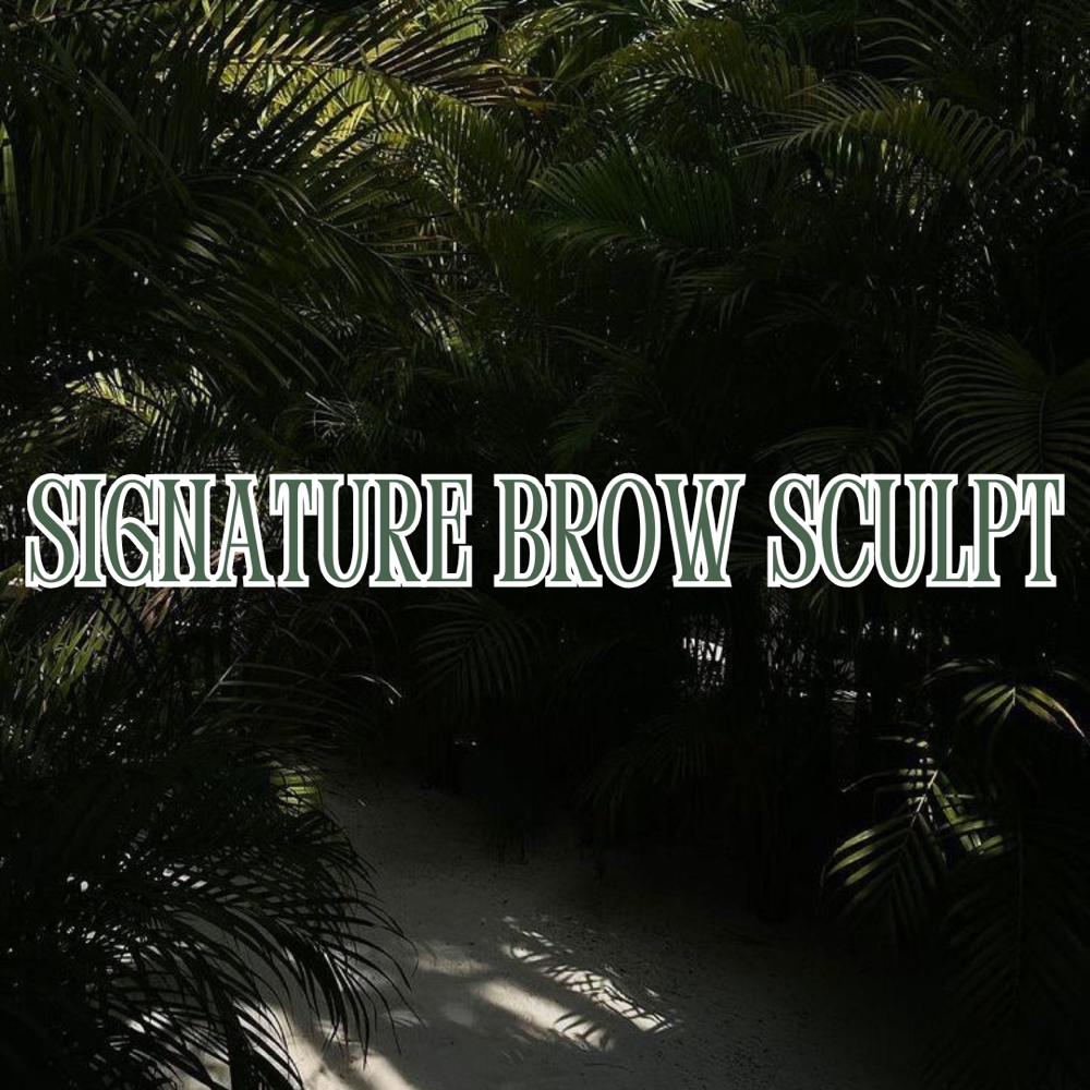 SIGNATURE BROW SCULPT at SkinxHim Aesthetics in Athens, TX