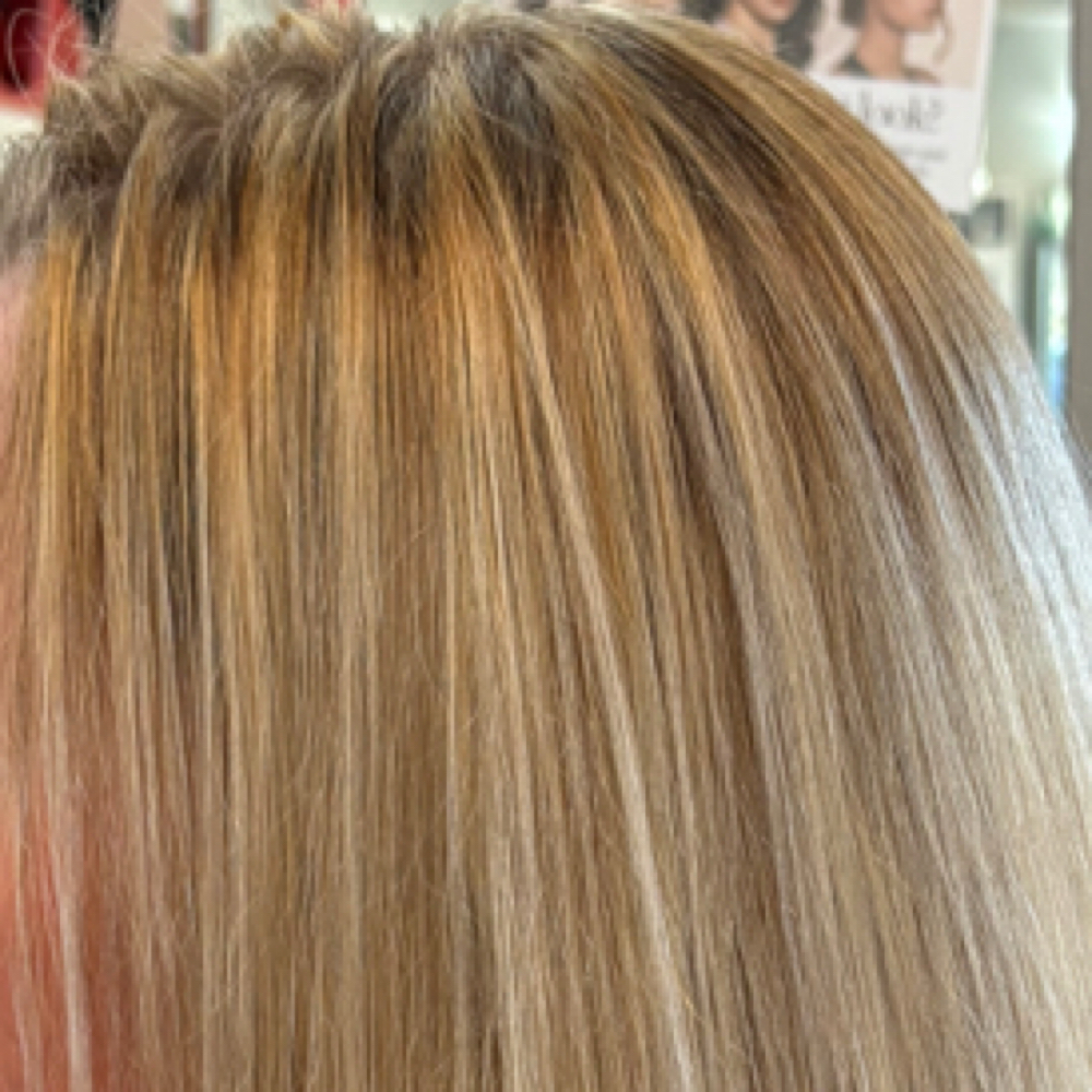 Partial Highlight at Hair by Chelsey in Sarasota, FL