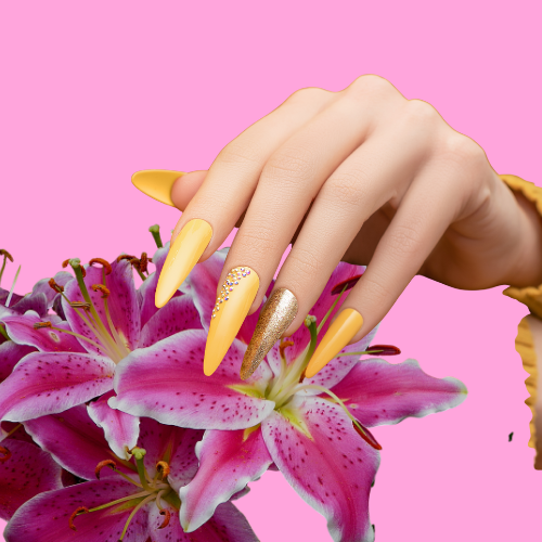 X Long  Gel X Full Set