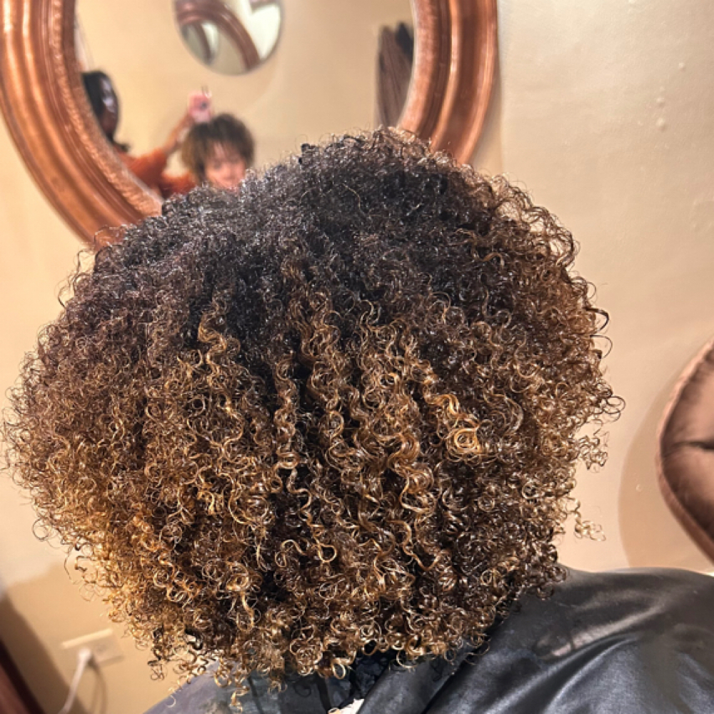 Wash & Go at Carrie The Gentle Stylist in Chicago, IL