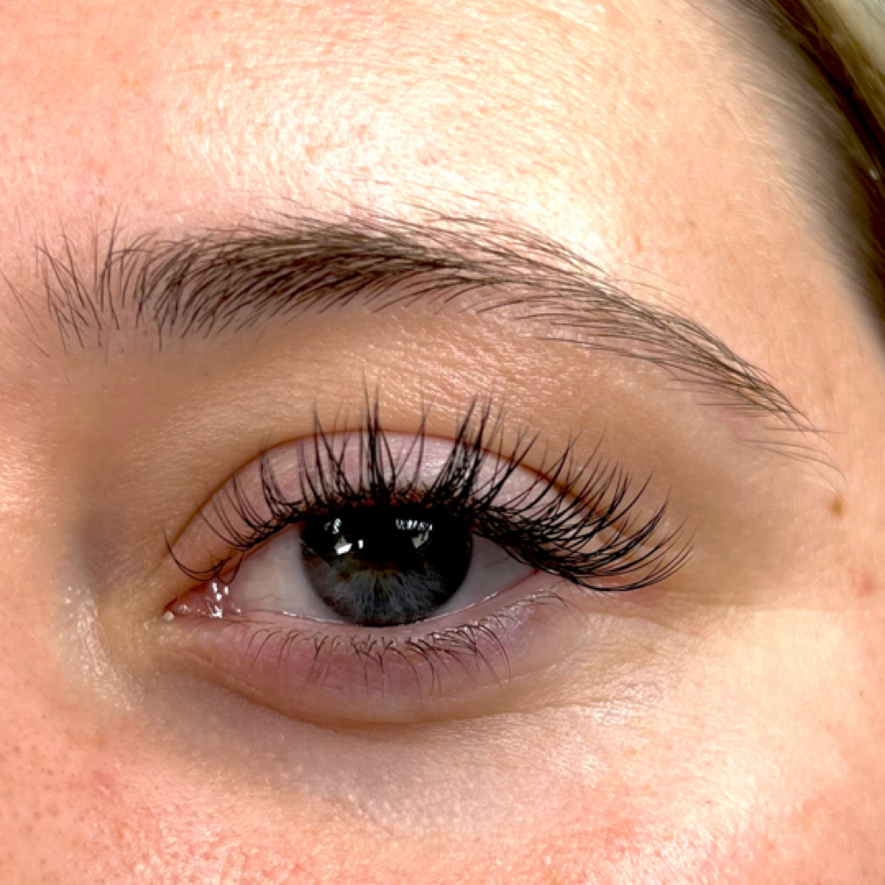 Classic Lashes at Salon Niche in Knoxville, TN