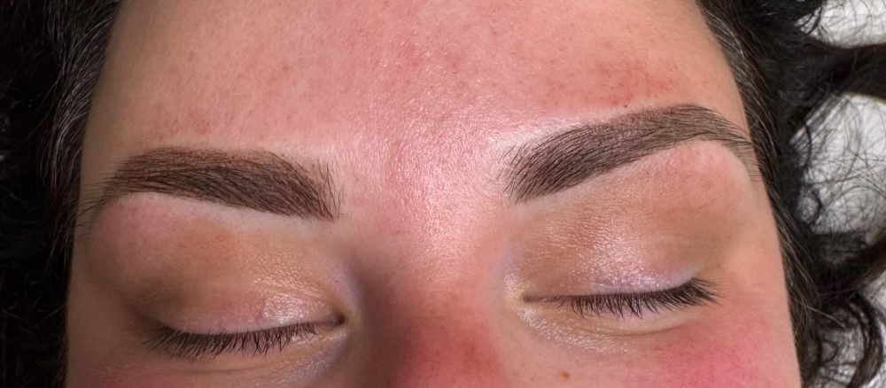 Powder Brows Touch Up