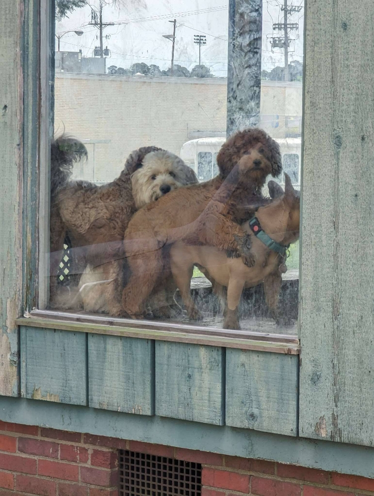 Daycare
