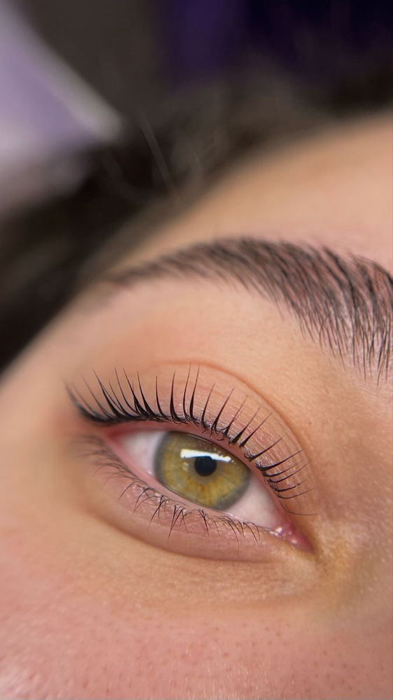 The Works - Natural Lashes & Brows