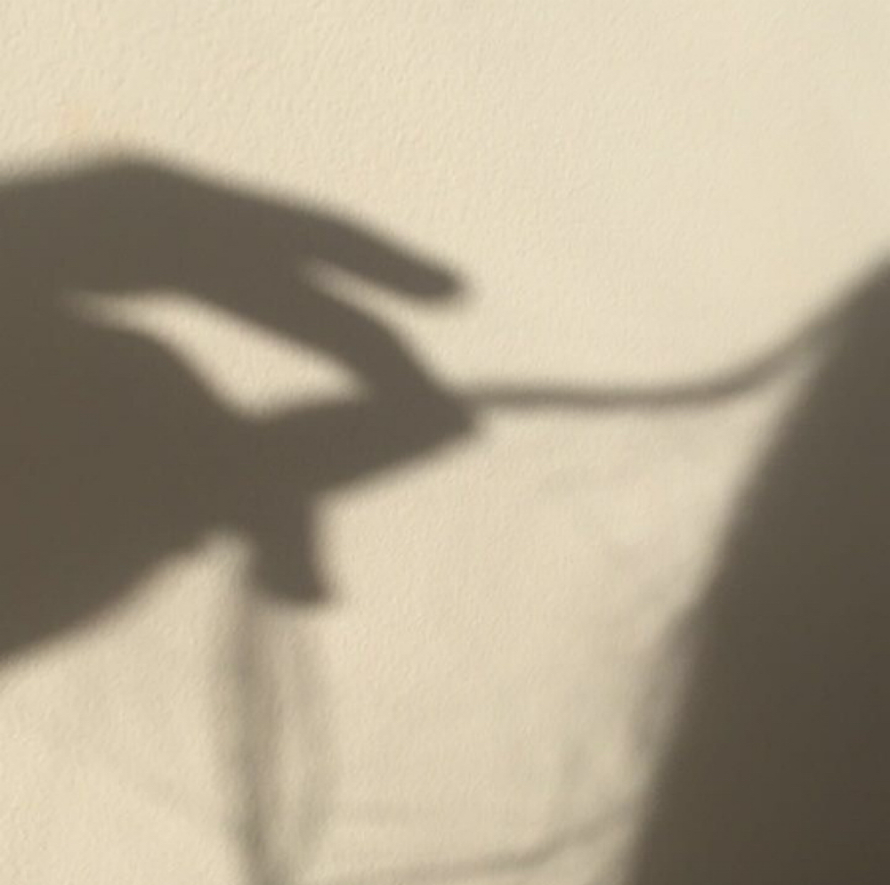 The Hair Planning Session at Kayla Dawn Hair in Austin, TX