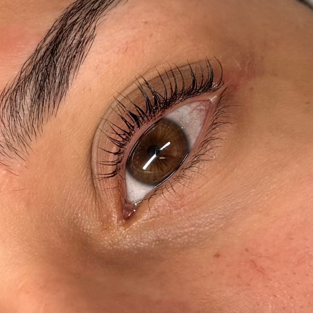 KOREAN LASH LIFT at Kimspa&beauty in Dallas, TX
