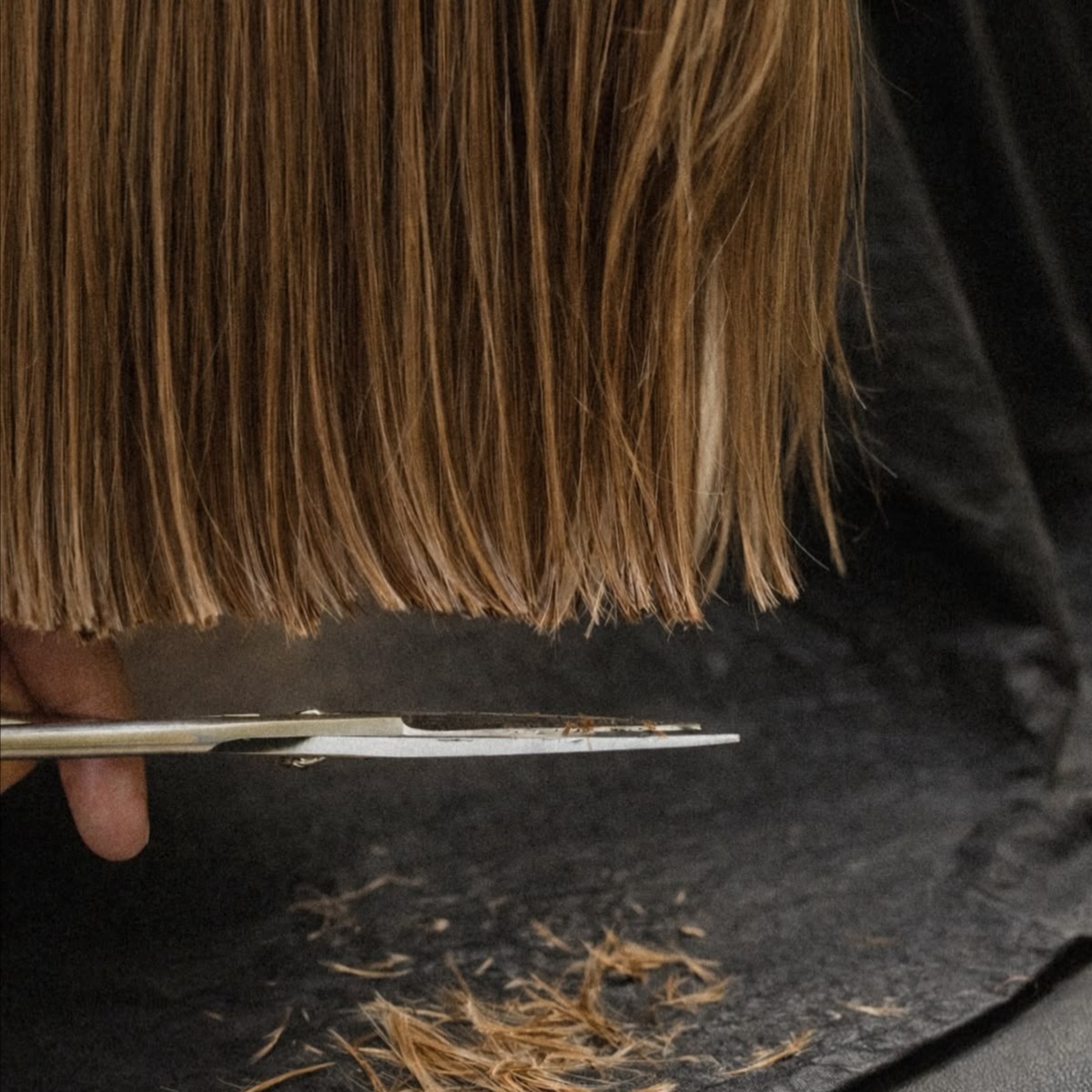 Haircut with Color Service at The Strand Salon in Alpharetta, GA