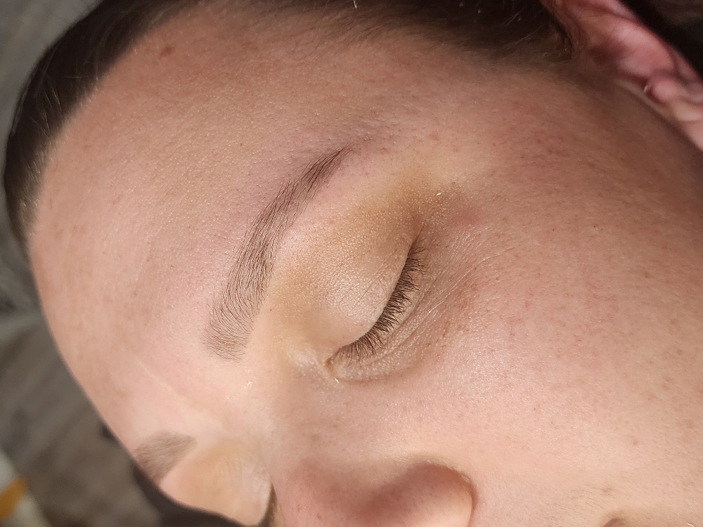 Brow Wax + Tint