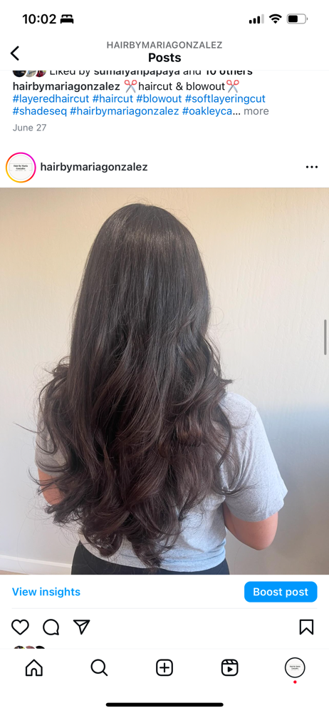 Root Touch Up