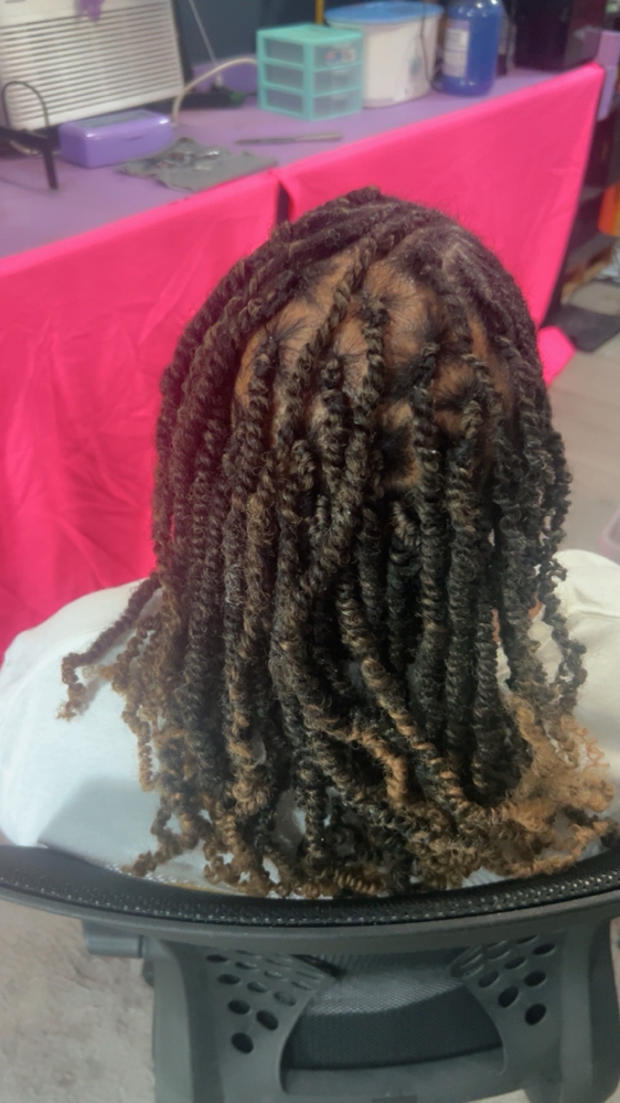 Two Strand Twist W/hair Provided