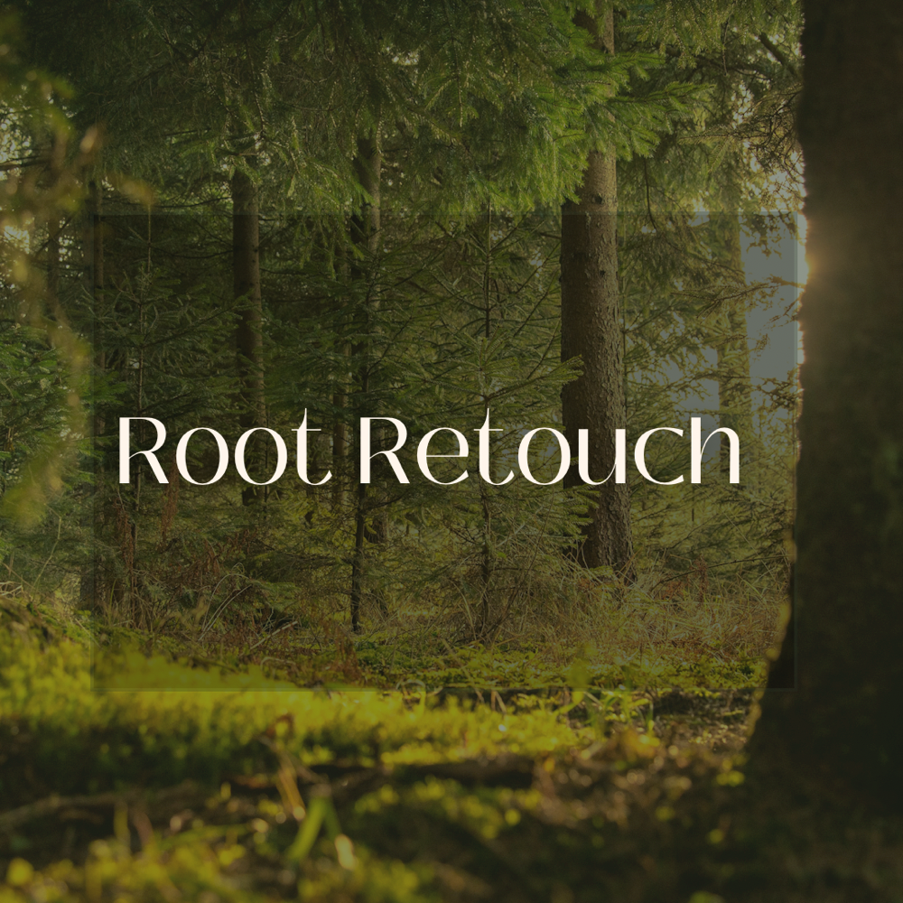 Root Retouch