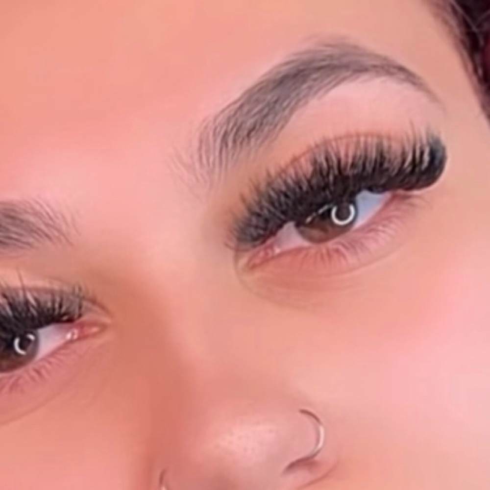 Vixen Fill at Blinked Lashes in White Plains, NY