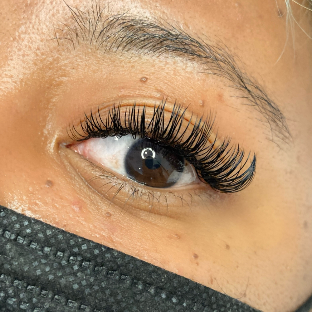 Lash Extensions - Fill