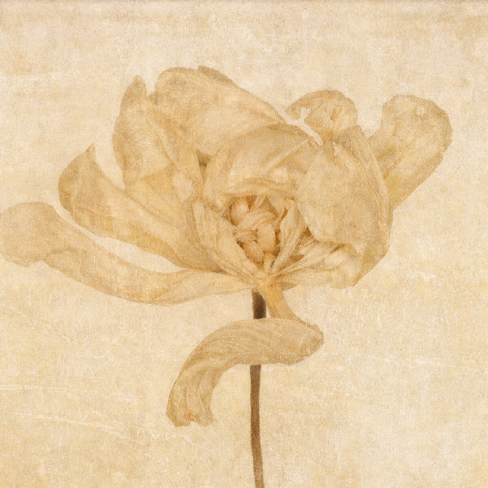 The Still Session at House of the Dreaming Body in South Pasadena, CA