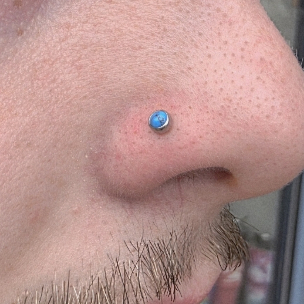Nostril at The Skin Lounge in MARQUETTE, MI
