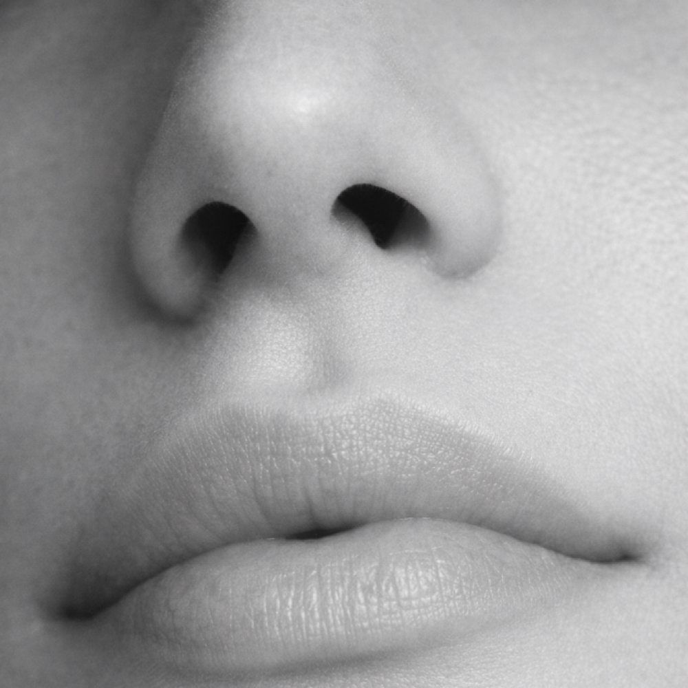 Nose at Modern Wax Co. in East Walpole, MA