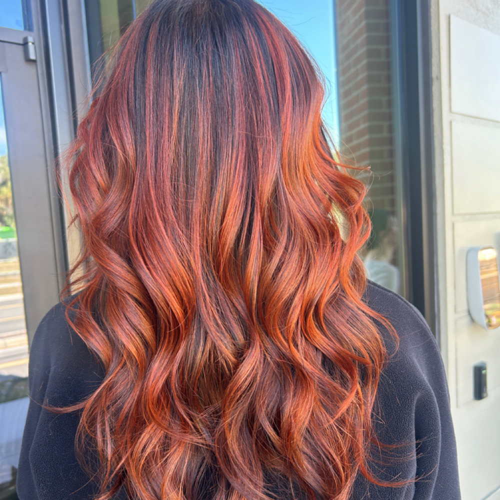Full Color And Haircut at Sammi Lindsay Hair in Tampa, FL
